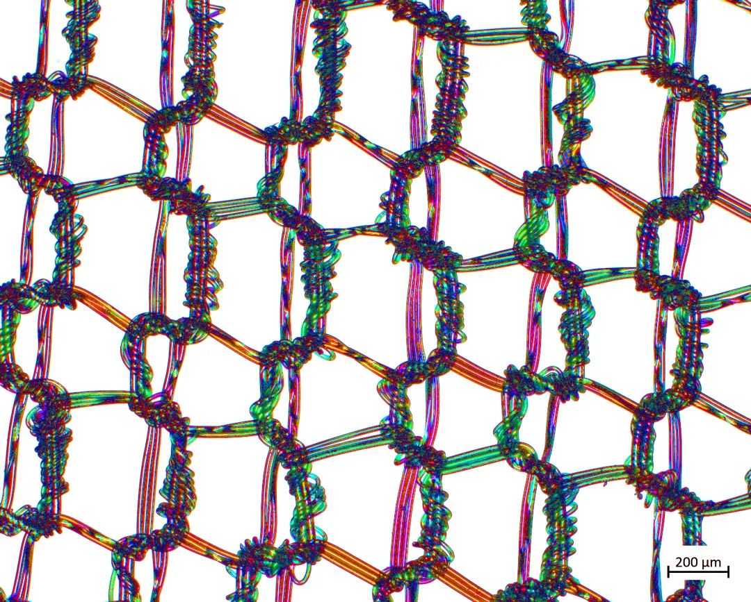 甘孜蔡司场发射甘孜扫描电镜