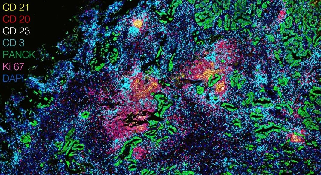 甘孜甘孜蔡司显微镜