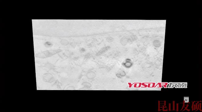 FIB甘孜扫描电镜