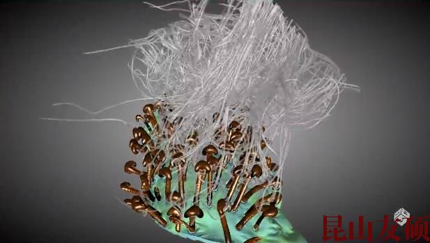 甘孜蔡司甘孜X射线显微镜